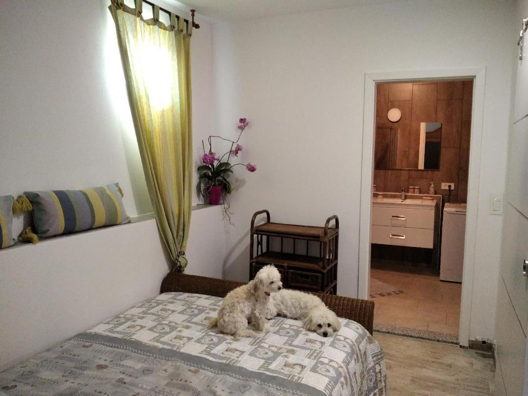 Apartment Trieste M&M Муджа Екстер'єр фото